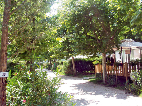 Lou Comtadou Provence-Alpes-Côte d'Azur - Carpentras visuel 4/10 Lou Comtadou Provence-Alpes-Côte d'Azur - Carpentras visuel 4/10