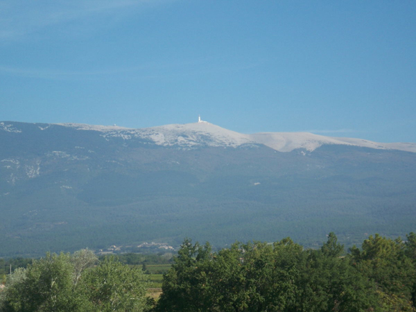 Lou Comtadou Provence-Alpes-Côte d'Azur - Carpentras visuel 6/10 Lou Comtadou Provence-Alpes-Côte d'Azur - Carpentras visuel 6/10