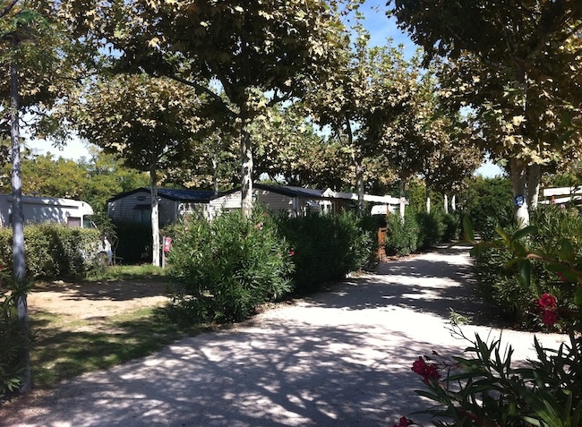 Lou Comtadou Provence-Alpes-Côte d'Azur - Carpentras visuel 8/10 Lou Comtadou Provence-Alpes-Côte d'Azur - Carpentras visuel 8/10