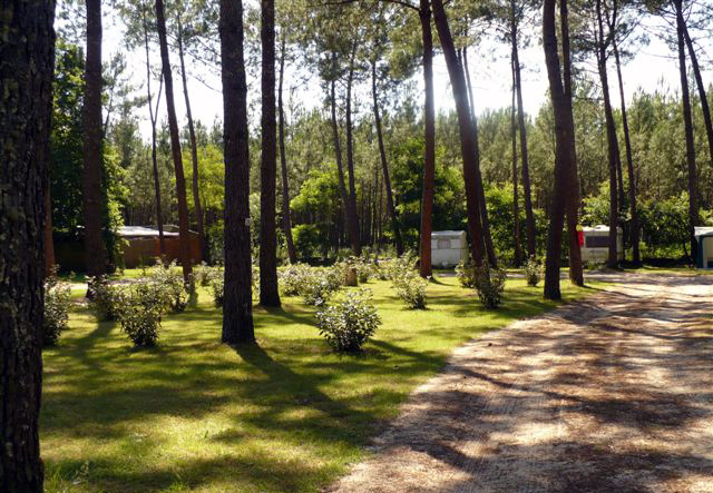 Lou Payou Aquitanien - Lesperon visuel 12/16