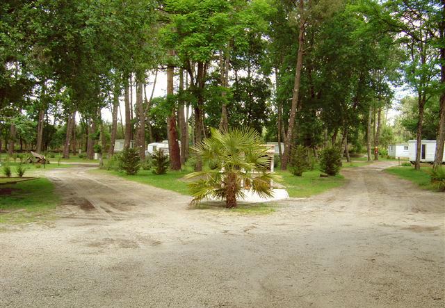 Lou Payou Aquitanien - Lesperon visuel 13/16