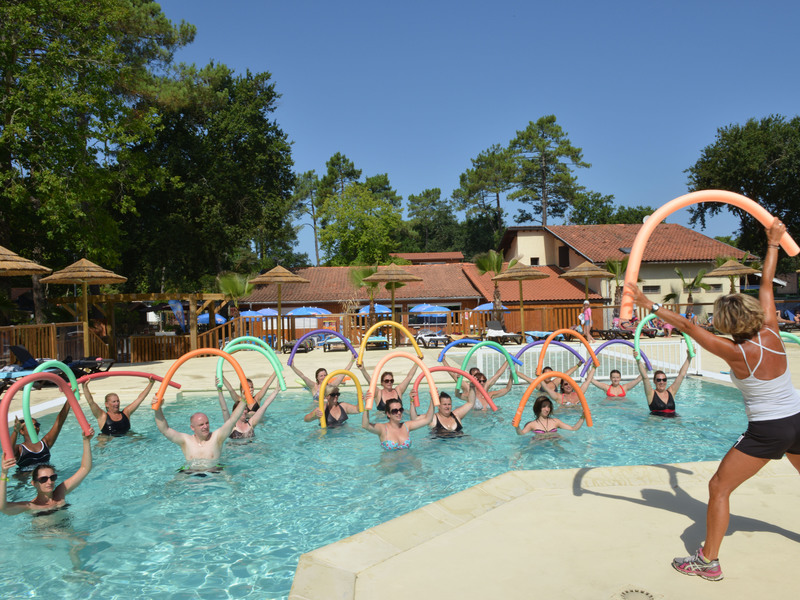 Lou Pignada Aquitanien - Ondres visuel 7/10