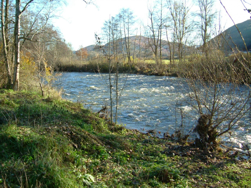 l’Alagnon Auvergne - Massiac visuel 2/6 l’Alagnon Auvergne - Massiac visuel 2/6