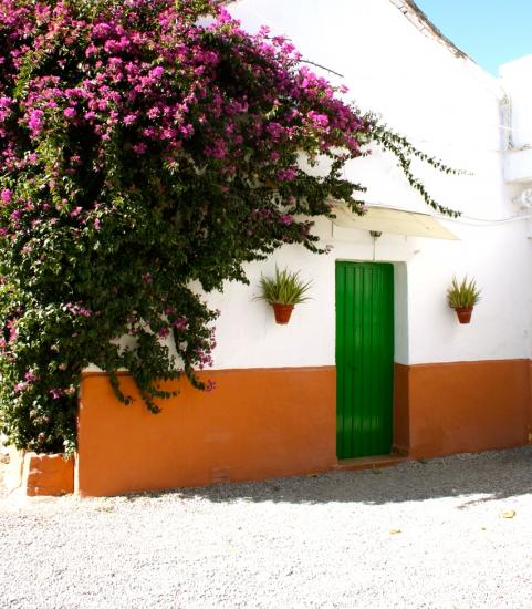 María Eugenia Andalusien - Grenade visuel 2/10