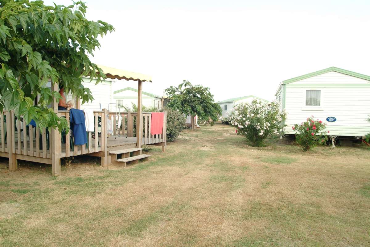 Marina d'Aléria Korsika - Aléria visuel 5/10