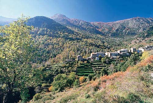 Marina d'Aléria Korsika - Aléria visuel 9/10