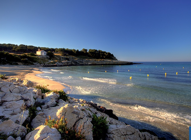 Marius Provence-Alpes-Côte d'Azur - Martigues visuel 8/10