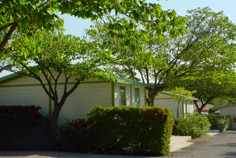 Marius Provence-Alpes-Côte d'Azur - Martigues visuel 10/10