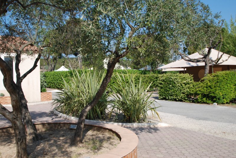 Marius Provence-Alpes-Côte d'Azur - Martigues visuel 5/10