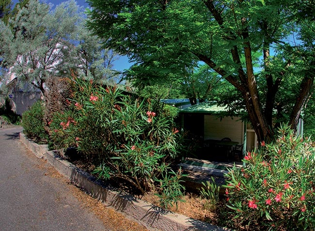 Marius Provence-Alpes-Côte d'Azur - Martigues visuel 6/10