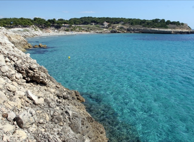 Marius Provence-Alpes-Côte d'Azur - Martigues visuel 9/10