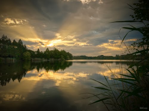 Mas de la Forêt Rhône-Alpen - Heyrieux visuel 1/1 Mas de la Forêt Rhône-Alpen - Heyrieux visuel 1/1