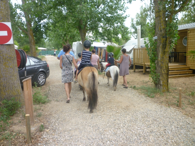Mer et Nature Languedoc-Roussillon - Vias visuel 7/7 Mer et Nature Languedoc-Roussillon - Vias visuel 7/7