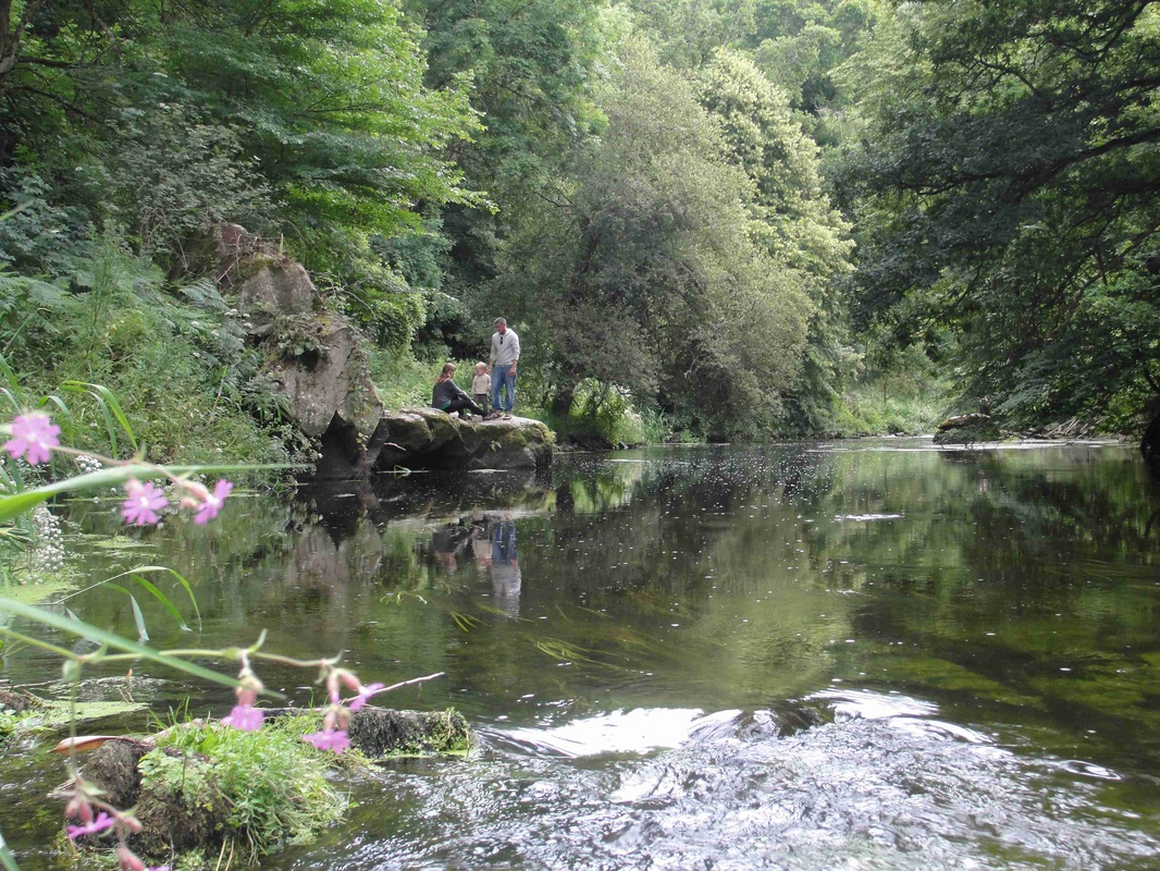 Milin Kerhé Bretagne - Pabu visuel 4/8