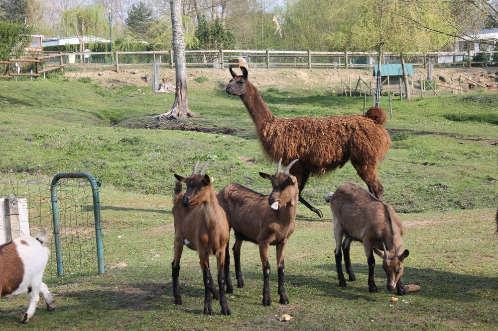 Monaco Parc Basse-Normandie - Longny-au-Perche visuel 6/6