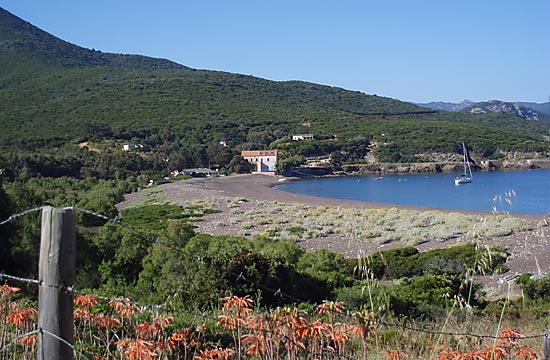 Morsetta Korsika - Calenzana visuel 5/8 Morsetta Korsika - Calenzana visuel 5/8