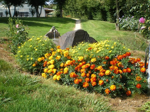 Moulin de Collonge Burgunder - Saint-Boil visuel 6/7 Moulin de Collonge Burgunder - Saint-Boil visuel 6/7