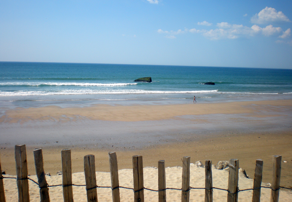 Nature et Océan Aquitanien - Soulac-sur-Mer visuel 3/10