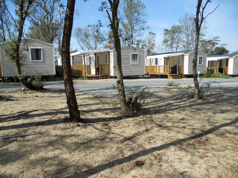 Nature et Océan Aquitanien - Soulac-sur-Mer visuel 6/10