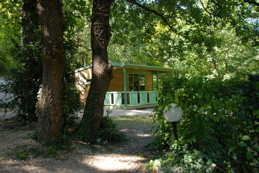 Nature et Rivière Languedoc-Roussillon - Sainte-Énimie visuel 8/11 Nature et Rivière Languedoc-Roussillon - Sainte-Énimie visuel 8/11