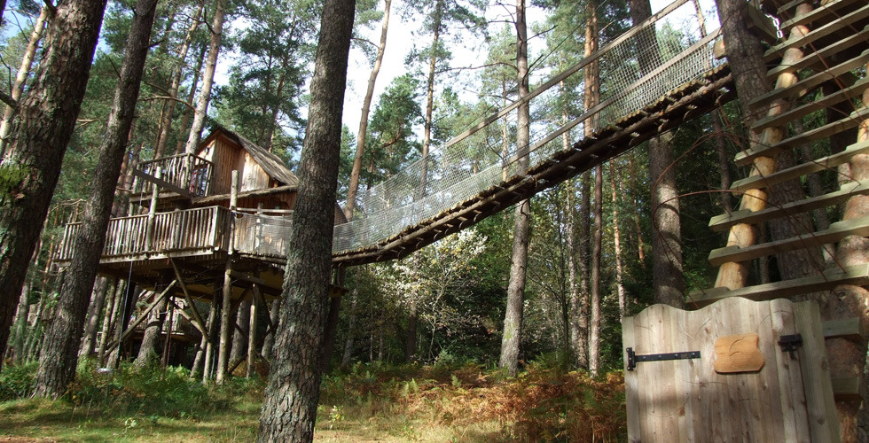 Nids des Vosges Lothringen - Champdray visuel 9/10