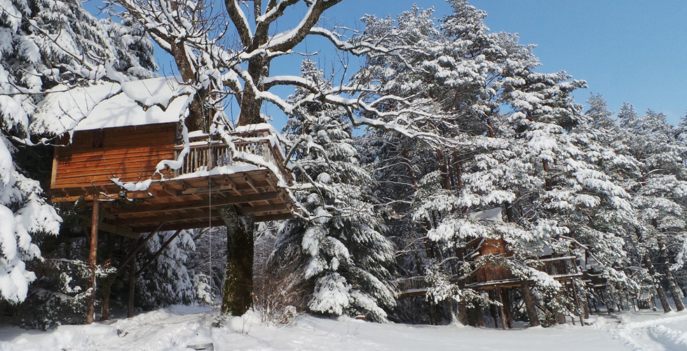 Nids des Vosges Lothringen - Champdray visuel 3/10