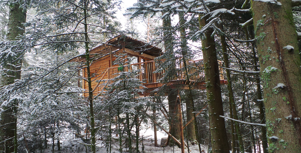 Nids des Vosges Lothringen - Champdray visuel 4/10