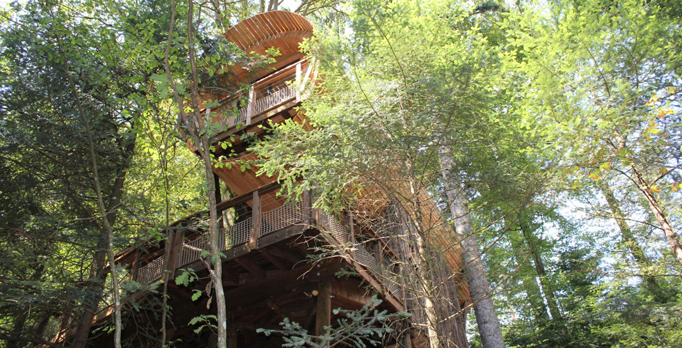 Nids des Vosges Lothringen - Champdray visuel 5/10