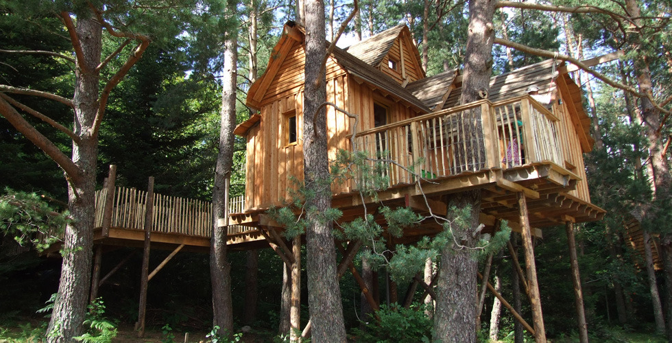 Nids des Vosges Lothringen - Champdray visuel 8/10