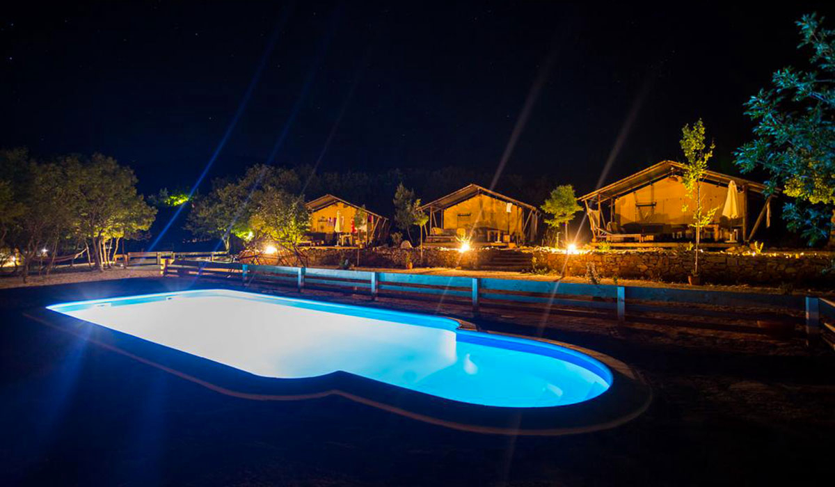 Nono ban Dalmatien - Gornji humac visuel 1/1