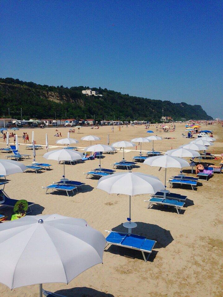 Norina Schritte - Pesaro visuel 6/6