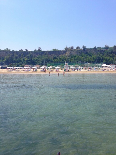 Norina Schritte - Pesaro visuel 4/6