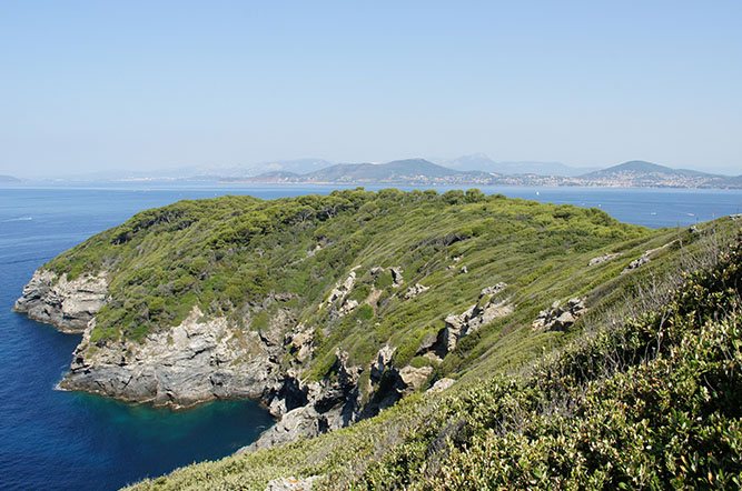 Olbia Provence-Alpes-Côte d'Azur - Hyères visuel 8/10 Olbia Provence-Alpes-Côte d'Azur - Hyères visuel 8/10