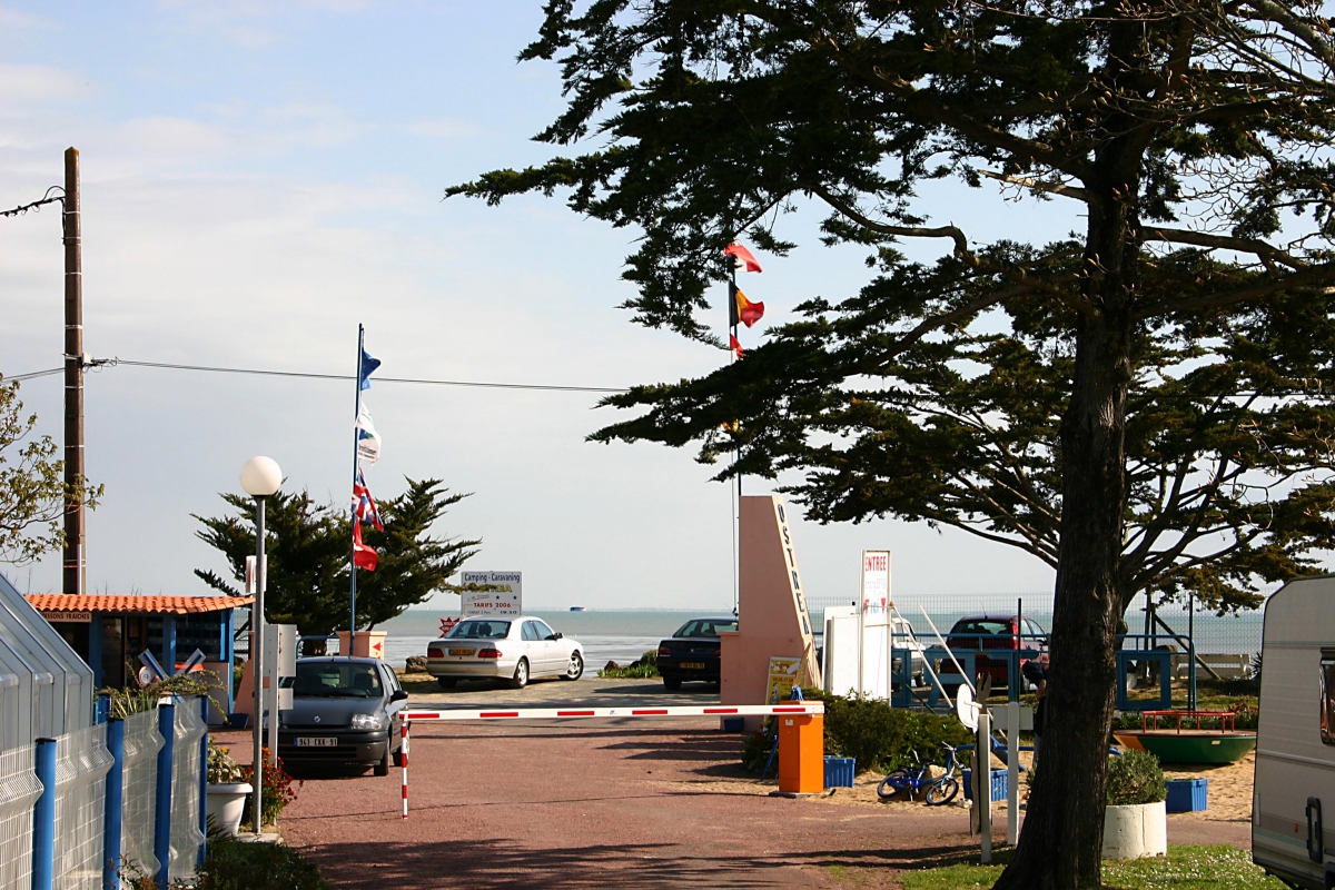 Ostréa Poitou-Charentes - Dolus d'Oléron visuel 6/9