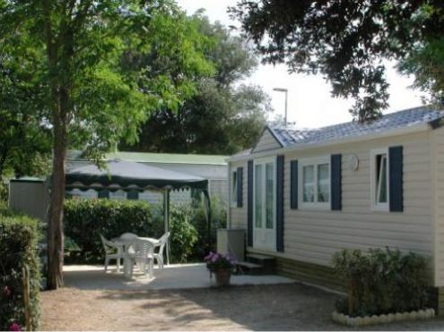 Ostréa Poitou-Charentes - Dolus d'Oléron visuel 8/9