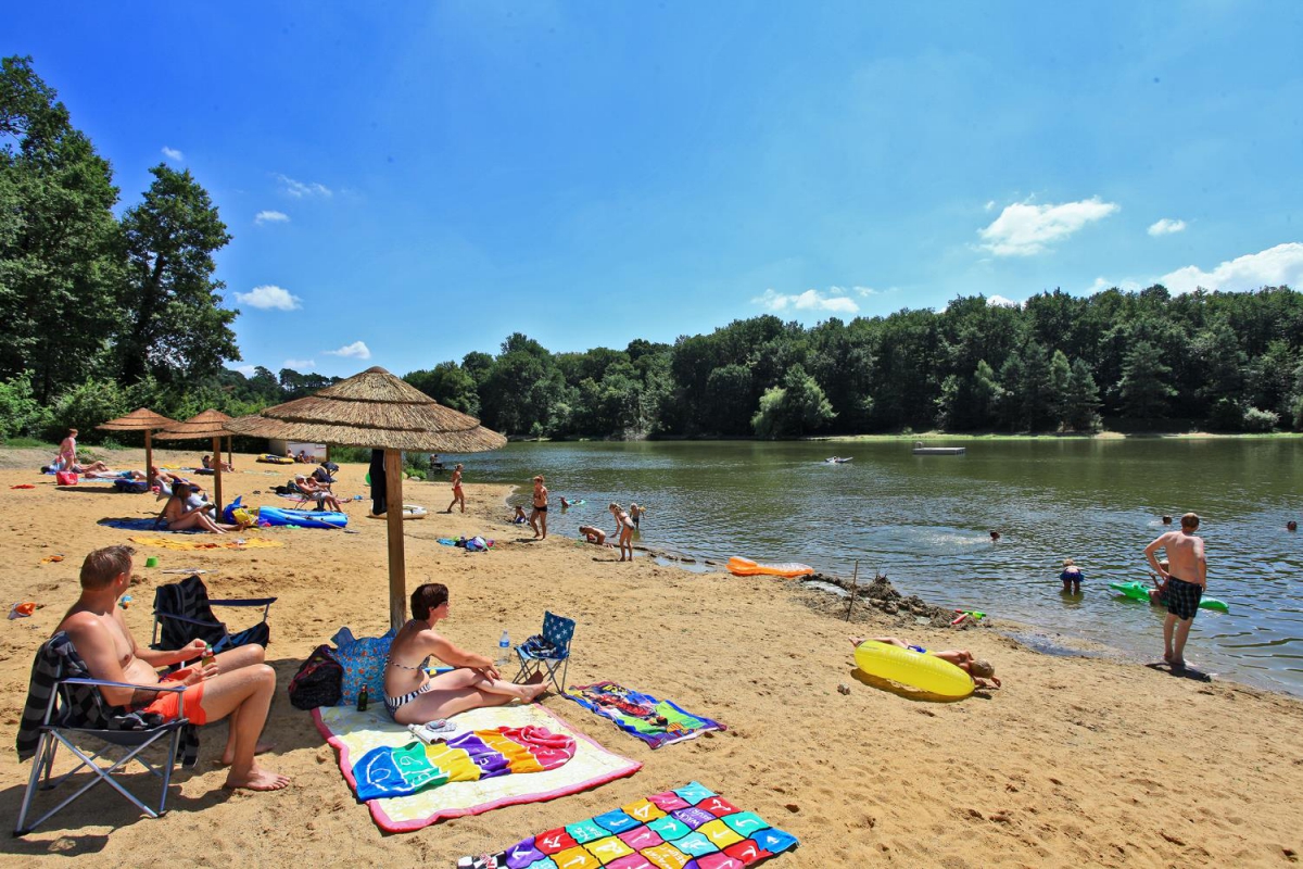 Parc de Fierbois Großes Zentrum - Sainte-Catherine-de-Fierbois visuel 9/10 Parc de Fierbois Großes Zentrum - Sainte-Catherine-de-Fierbois visuel 9/10