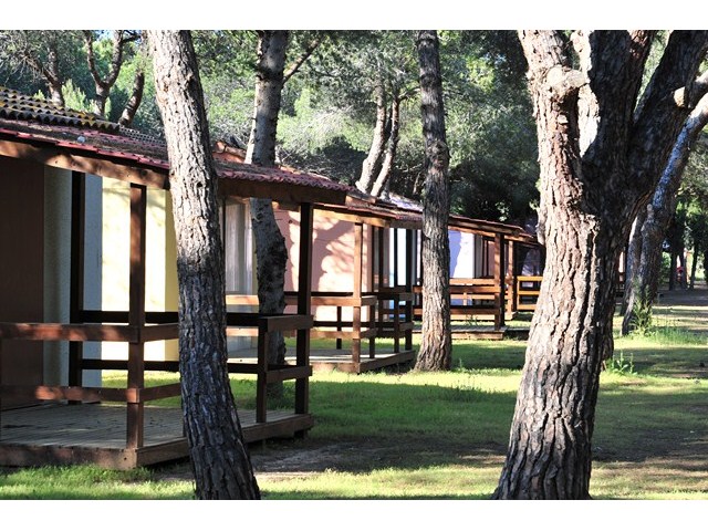 Parc Résidentiel Bellevue Languedoc-Roussillon - Valras-Plage visuel 12/12