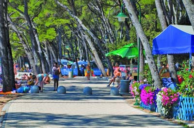 Park Soline Dalmatien - Biograd visuel 5/10