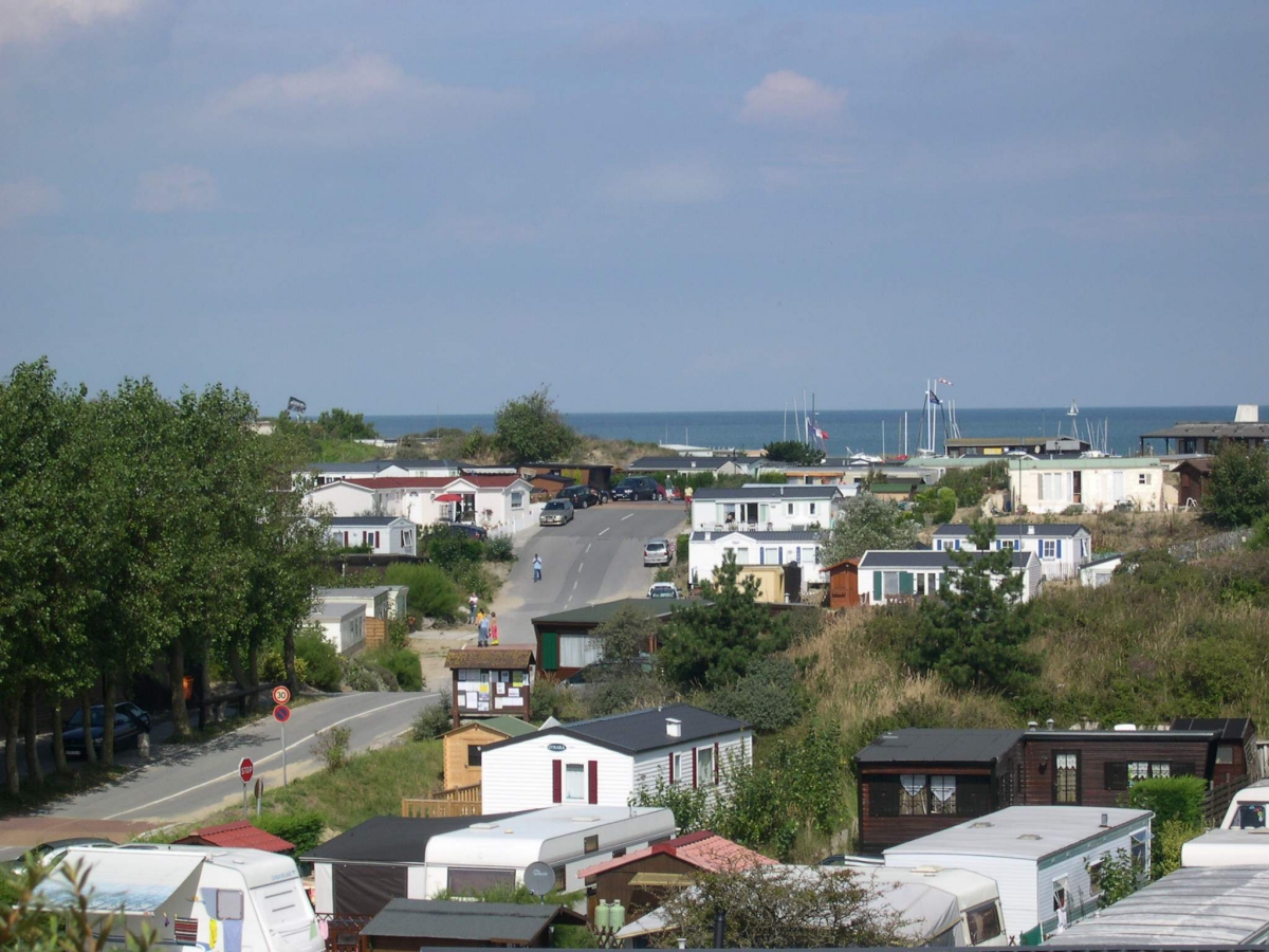 Perroquet Nord-Pas de Calais - Bray-Dunes visuel 1/1 Perroquet Nord-Pas de Calais - Bray-Dunes visuel 1/1