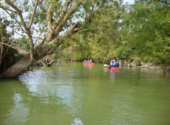 Plein Sud Das Loire-Gebiet - Saint-Jean-de-Monts visuel 4/11 Plein Sud Das Loire-Gebiet - Saint-Jean-de-Monts visuel 4/11