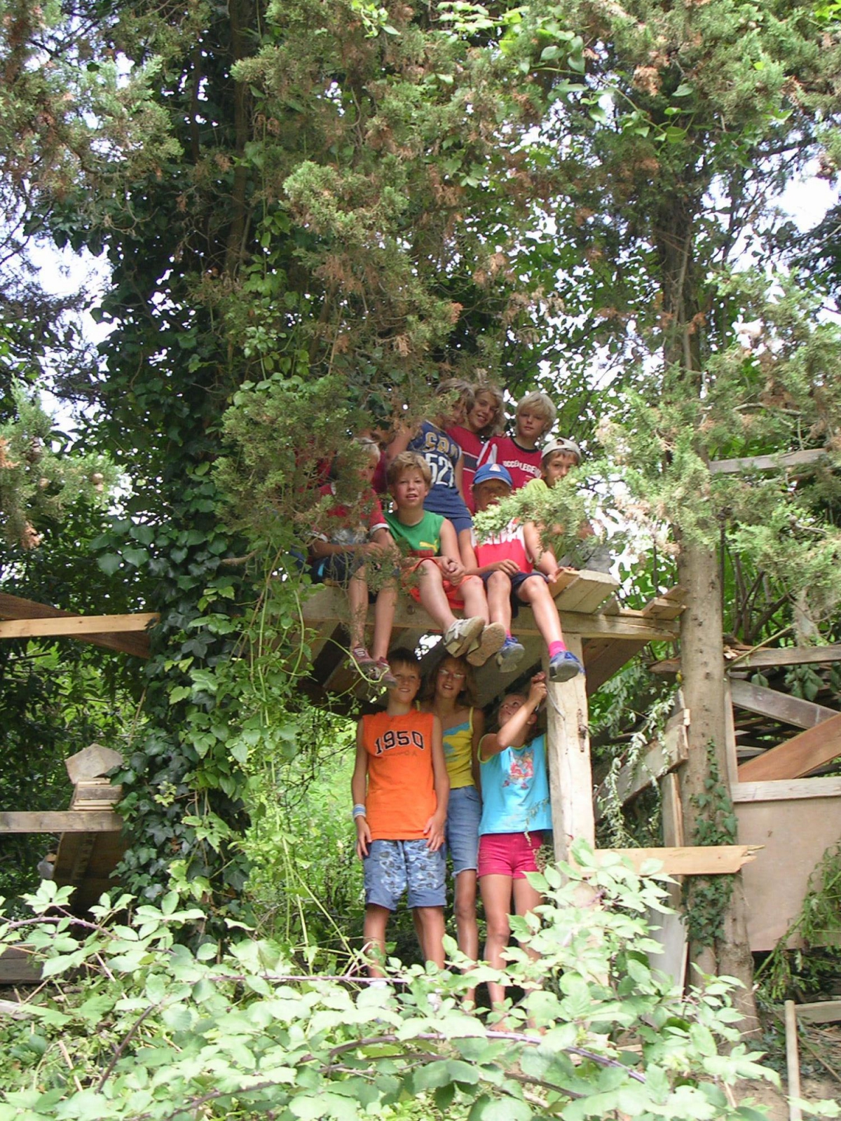 Podere Sei Poorte Schritte - Senigallia visuel 4/10