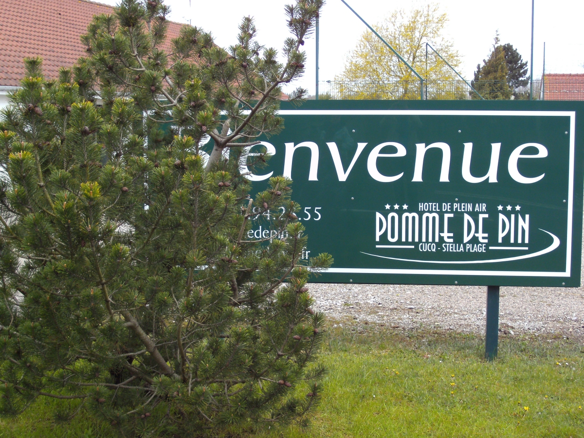 Pomme De Pin Nord-Pas de Calais - Cucq visuel 1/1 Pomme De Pin Nord-Pas de Calais - Cucq visuel 1/1