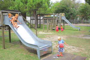 Punta Spin Venetien - Grado visuel 5/8