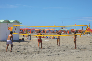 Punta Spin Venetien - Grado visuel 6/8