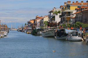 Punta Spin Venetien - Grado visuel 7/8