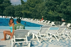 Punta Spin Venetien - Grado visuel 3/8