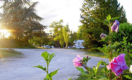 Quercy Vacances Midi-Pyrénées - Saint-Pierre-Lafeuille visuel 10/11