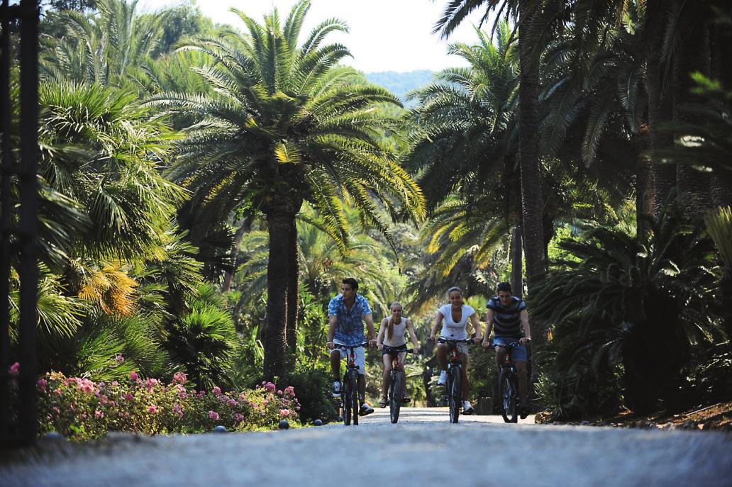 Rosselba le Palme Toskana - Portoferraio visuel 5/18