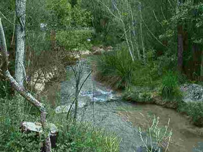 Saint Clair Provence-Alpes-Côte d'Azur - Moustiers-Sainte-Marie visuel 4/8 Saint Clair Provence-Alpes-Côte d'Azur - Moustiers-Sainte-Marie visuel 4/8
