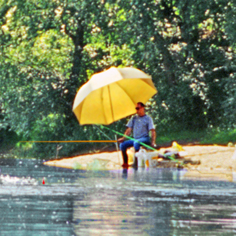 Les Plages de Loire Das Loire-Gebiet - Rochefort-sur-Loire visuel 3/11 Les Plages de Loire Das Loire-Gebiet - Rochefort-sur-Loire visuel 3/11